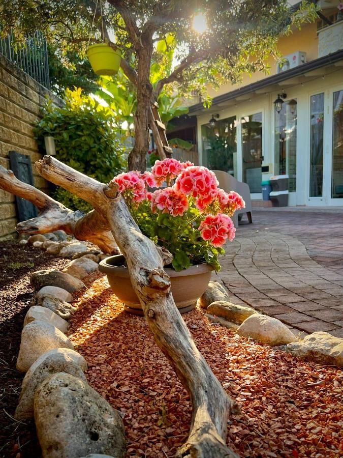 Bed & Breakfast Peperosa In Collina, Luxury *